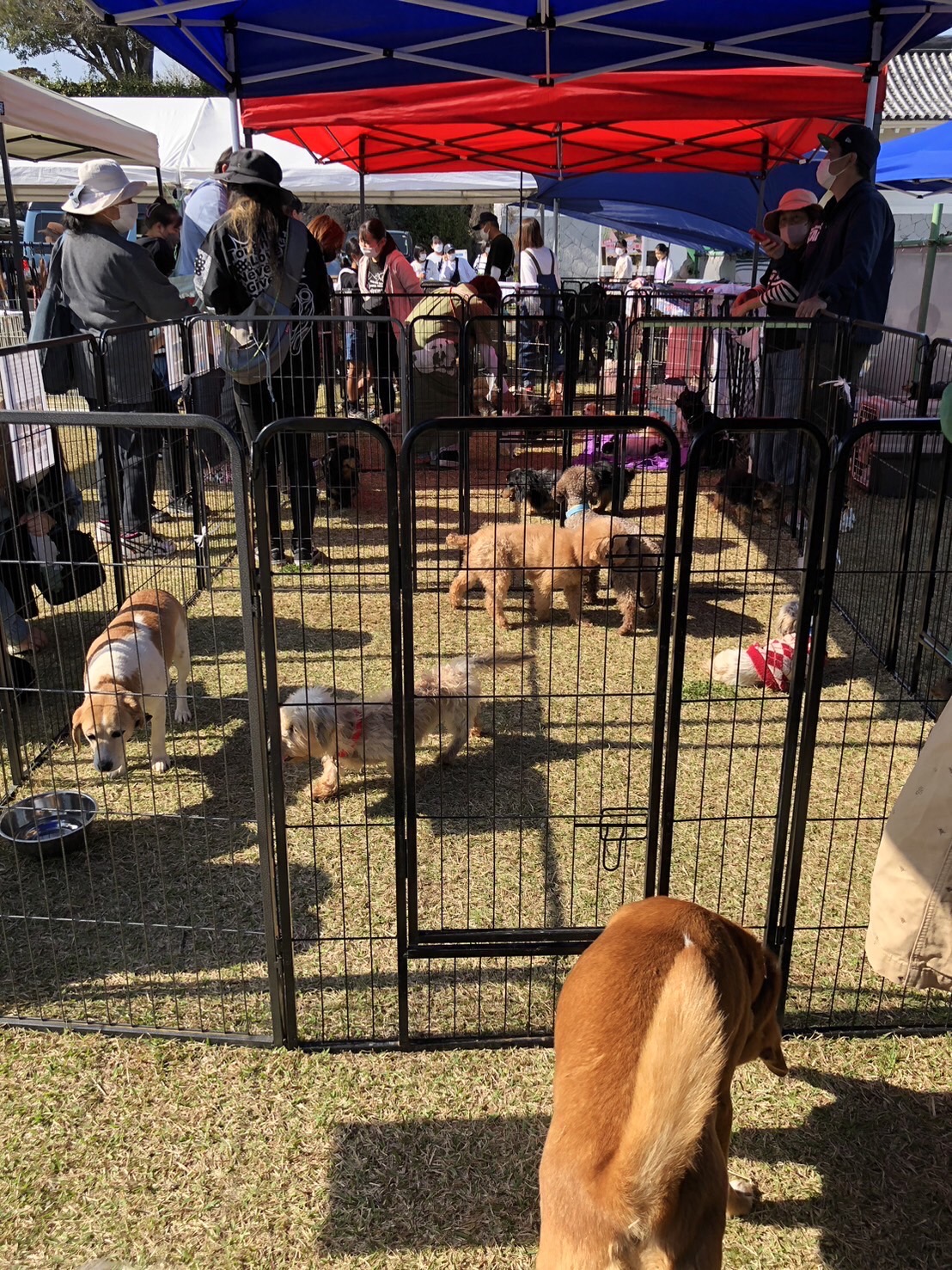 親子で一緒に楽しめる！本革ワークショップ